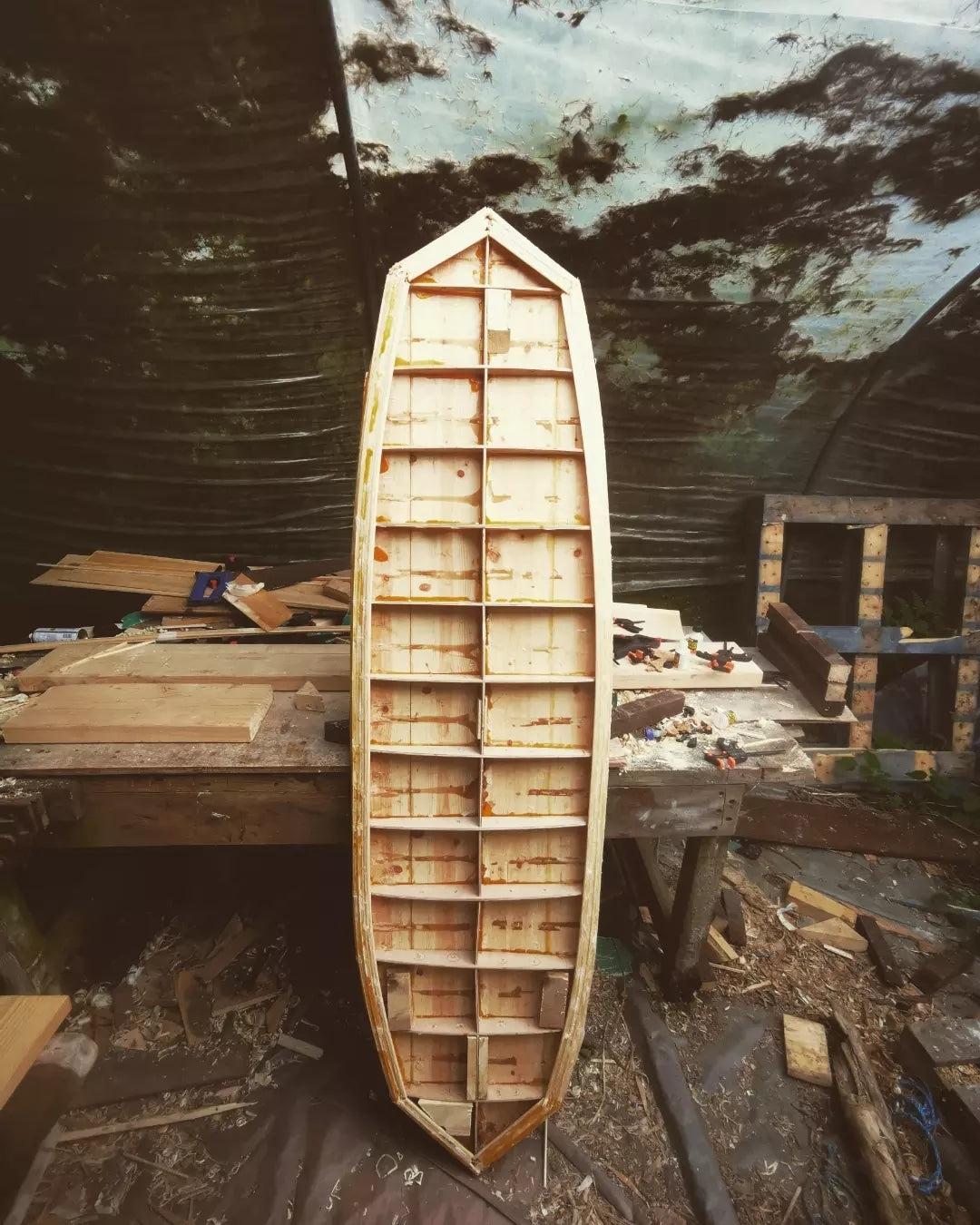The Wave Finder 6ft 10 Mini Mal