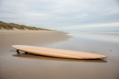 Beach Paulownia Fun Board