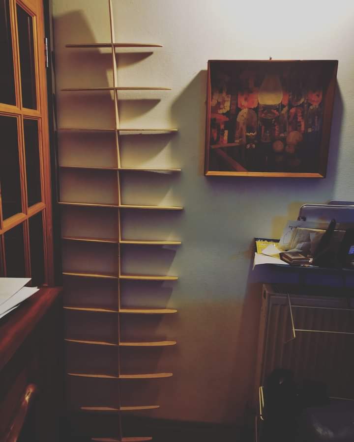 Fat Fish | 5ft 8 | Paulownia