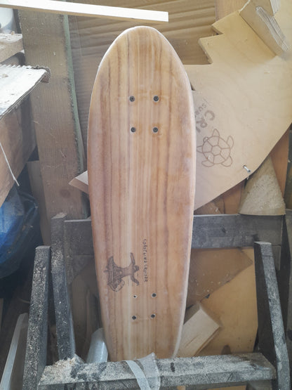 Coastline Cruiser