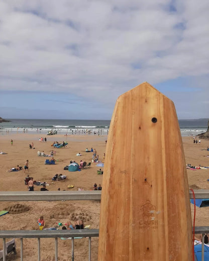 The Wave Finder 6ft 10 Mini Mal